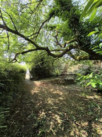 Achat - Maison Plémet 22210 7 pièces 140 m 2 495 m 2