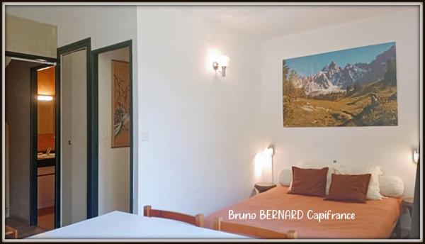 Dpt Hautes Pyrénées (65), à vendre LUZ SAINT SAUVEUR appartement studio
