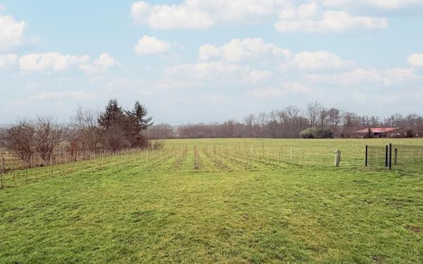 À vendre Maison 7 pièces 190 m² - Deyvillers 88000