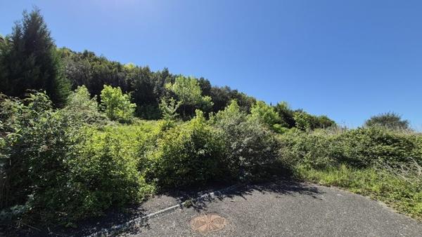 Terrain à vendre |  Castelnaudary |  1043 m²