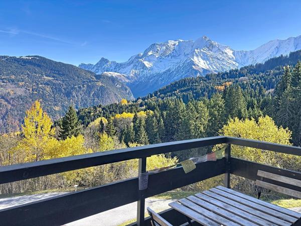 Studio au Bettex vue Mt Blanc