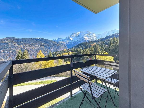 Studio au Bettex vue Mt Blanc