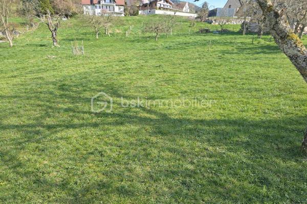 Terrain de 783 m²