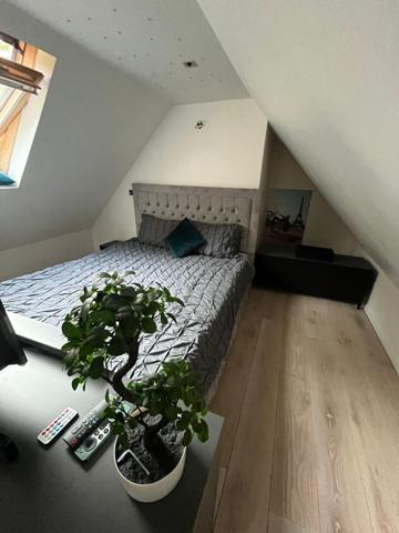 Maison Gouvieux 191m² 8 pièces