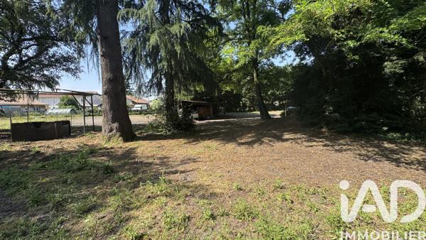 Maison à vendre 8 pièces 228 m² Labouheyre