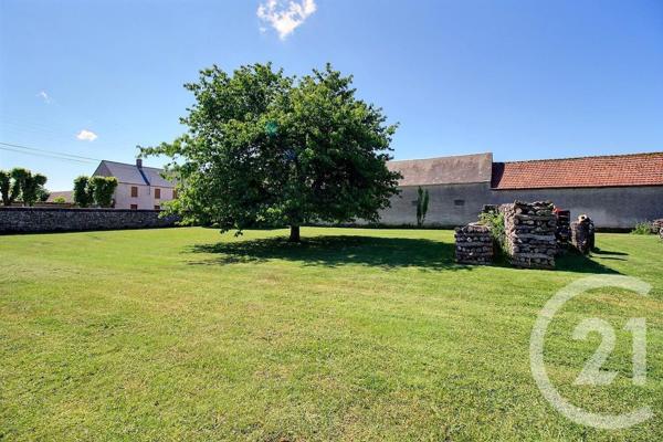 terrain à vendre 1000 m2 BEAUCE LA ROMAINE - 41