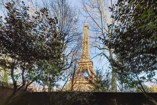 Avenue de Suffren - Élégant appartement de réception avec terrasse et vue Tour Eiffel