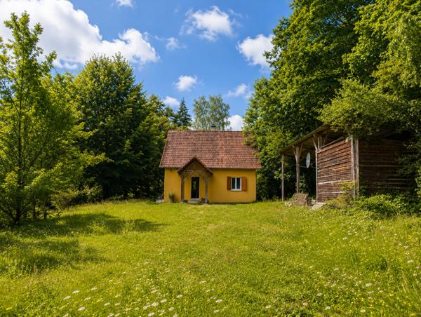 Maison à vendre à Saint-Yrieix-la-Perche (87500) - Haute-Vienne