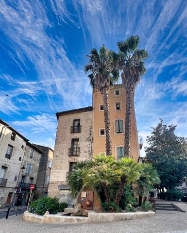 Appartement à vendre à Pézenas (34120) - Hérault