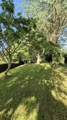 Grande maison à fort potentiel commercial et résidentiel  Emplacement PREMIUM à Morgat