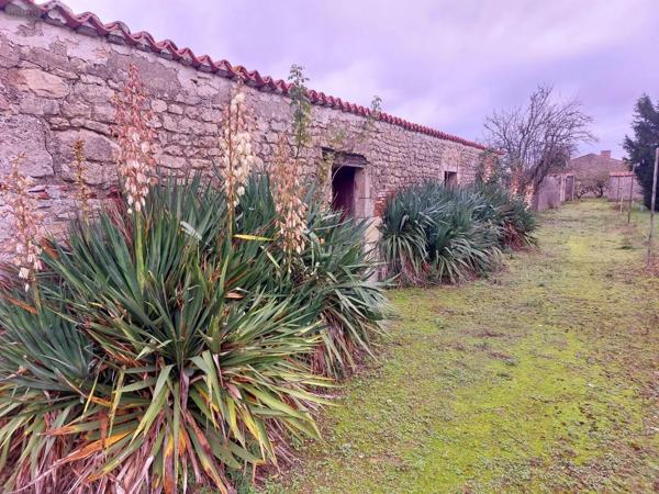 Achat - Propriété | Domaine agricole Chambon 17290 8 pièces 243 m 2 11879 m 2