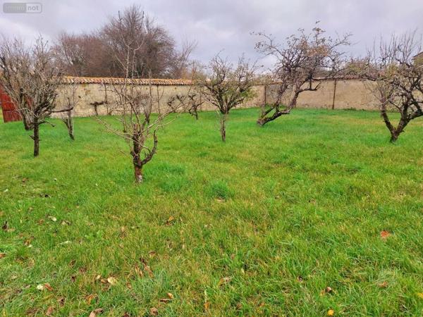 Achat - Propriété | Domaine agricole Chambon 17290 8 pièces 243 m 2 11879 m 2