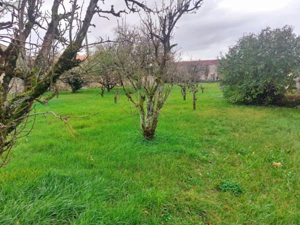 Achat - Propriété | Domaine agricole Chambon 17290 8 pièces 243 m 2 11879 m 2