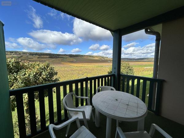 Appartement à louer à Beaune en Côte-d'Or (21200), ref : LA2145-21074