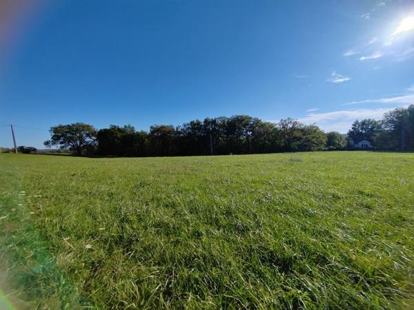 Terrain à vendre |  Dégagnac |  2713 m²