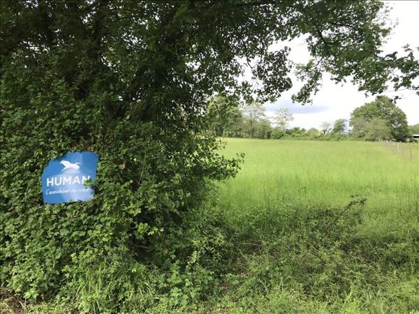 Terrain à vendre |  Saint-Amand-Montrond |  2966 m²