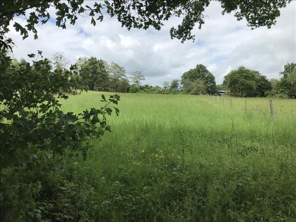 Terrain à vendre |  Saint-Amand-Montrond |  2966 m²