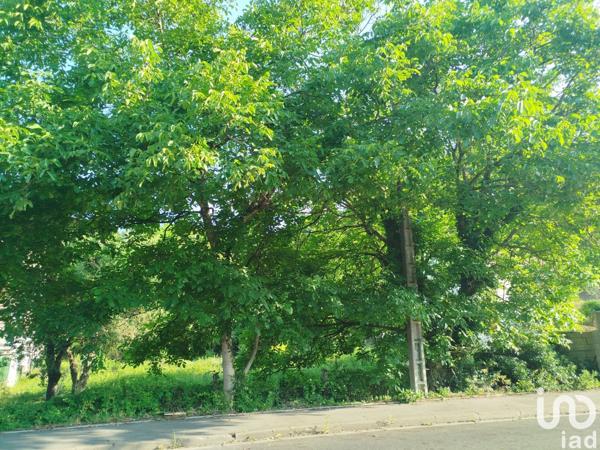 Terrain à vendre 586 m² Souppes-sur-Loing