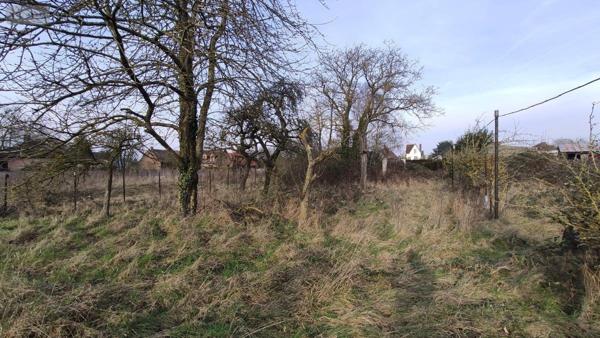 Maison à vendre à Beaurains dans le Pas-de-Calais (62217), ref : 62183-14