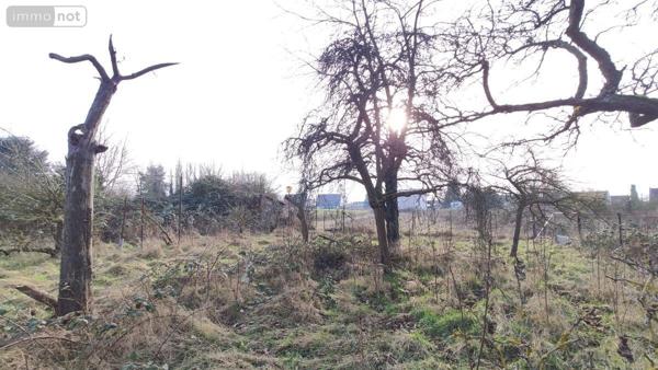 Maison à vendre à Beaurains dans le Pas-de-Calais (62217), ref : 62183-14