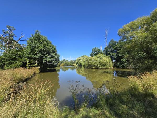 Terrain de loisirs de 45 907,99 m²