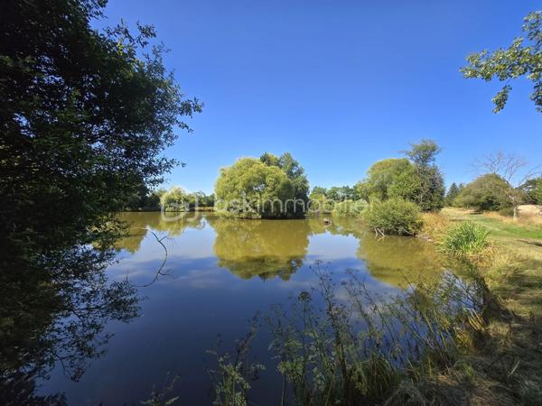 Terrain de loisirs de 45 907,99 m²