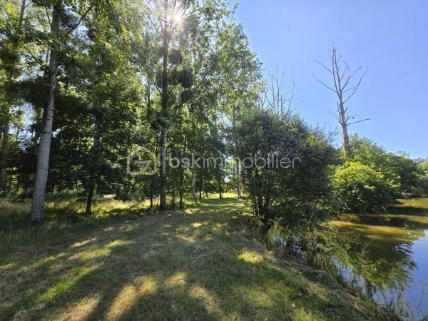 Terrain de loisirs de 45 907,99 m²