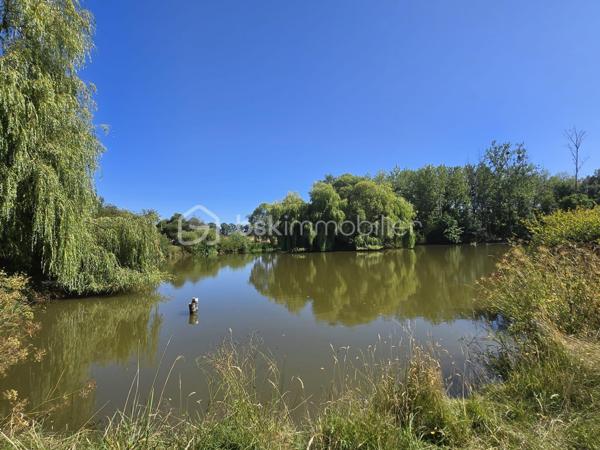 Terrain de loisirs de 45 907,99 m²