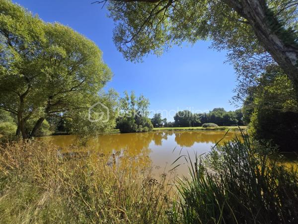 Terrain de loisirs de 45 907,99 m²