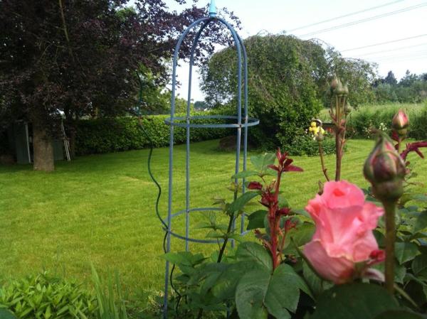 Vente / Maison à Ormoy (91540)