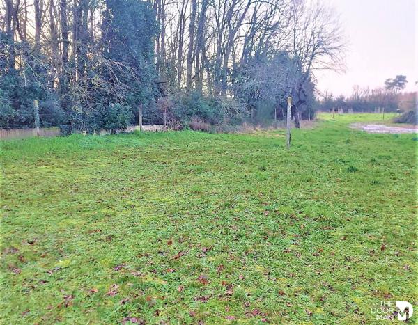 Terrain - Vendu - 1 432 m² - CHAUMES-EN-RETZ | The Door Man