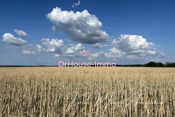 Terrain à vendre de 382 m²