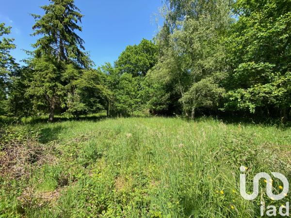 Terrain à vendre 2 920 m² Bullion