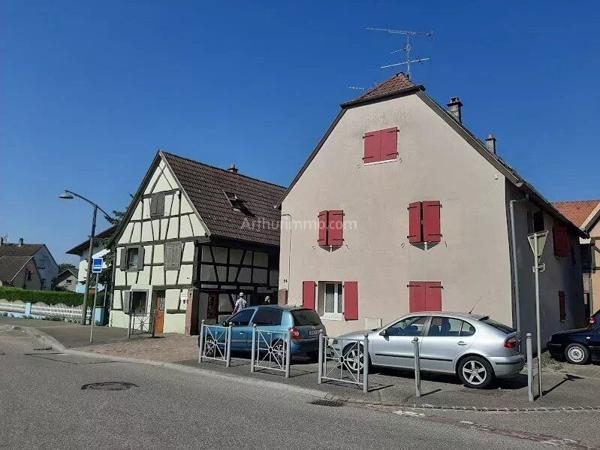 Vente Immeuble 300 m2 à Sainte-Croix-en-Plaine