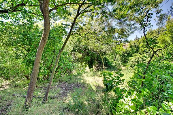 A VENDRE EN EXCLUSIVITÉ DRAGUIGNAN - Terrain constructible 8517 m²
