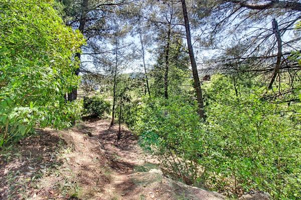 A VENDRE EN EXCLUSIVITÉ DRAGUIGNAN - Terrain constructible 8517 m²