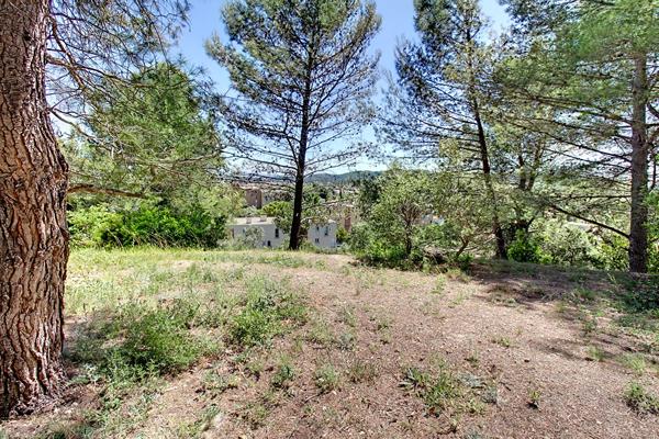 A VENDRE EN EXCLUSIVITÉ DRAGUIGNAN - Terrain constructible 8517 m²