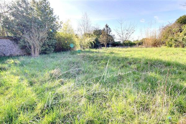 Maison en pierres avec dépendances et terrain
