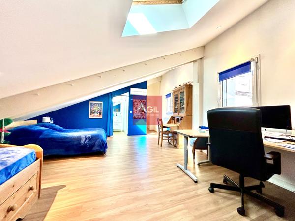GRENOBLE - Rue Raoul Blanchard : T7 en duplex de 260m²