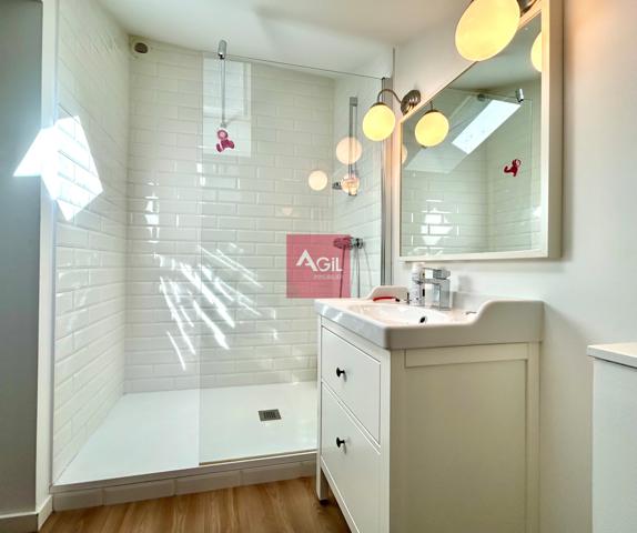 GRENOBLE - Rue Raoul Blanchard : T7 en duplex de 260m²