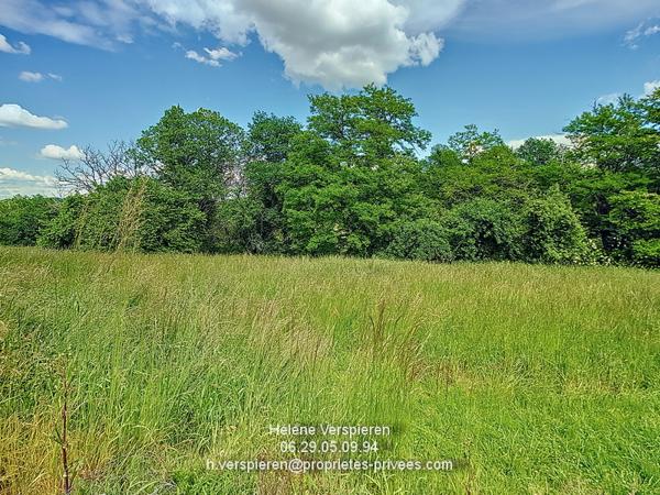 Maison  10 pièce(s) 217 m2 hangar 300 m2 jardin 7000 m2