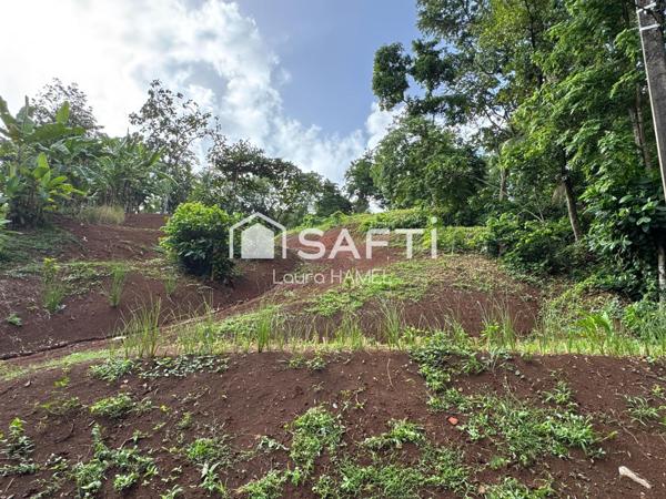 Grand terrain terrassé, vue mer, quartier calme