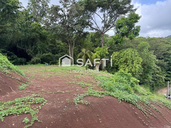 Grand terrain terrassé, vue mer, quartier calme