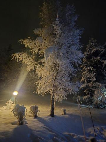 Appartement Megeve 2 pièce(s)