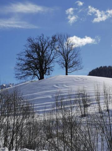 Appartement Megeve 2 pièce(s)
