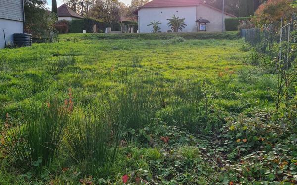 Terrain à vendre    Cunelières