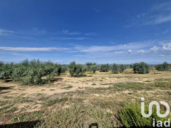 Maison à vendre 4 pièces 93 m² Nissan-lez-Enserune