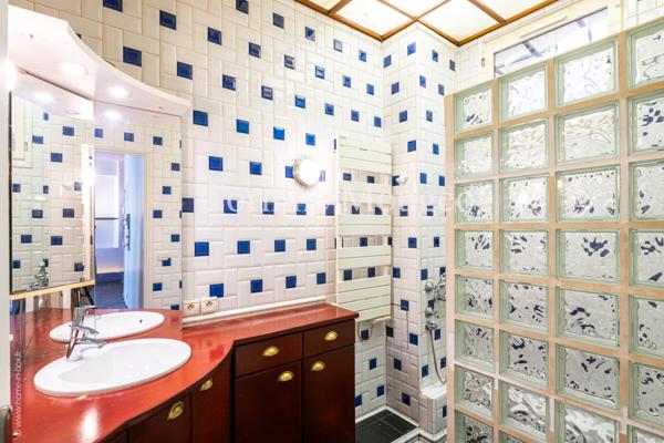 Arcueil (94110) Appartement atypique avec un cachet unique et un souplex aménageable