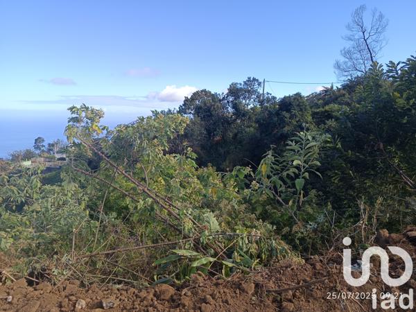 Terrain à vendre 2 062 m² Saint-Leu