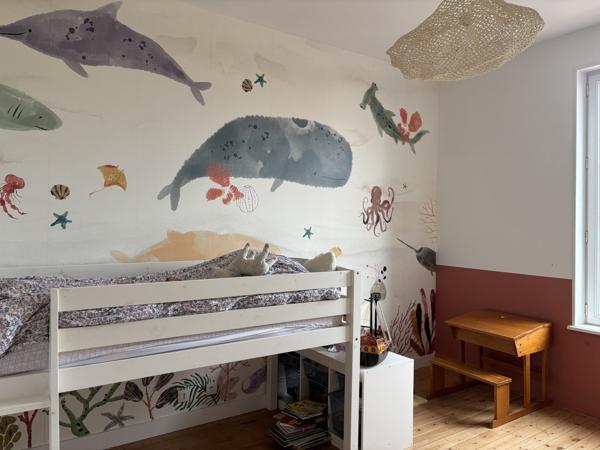 Maison de ville rénovée avec garage et jardin - la Genette